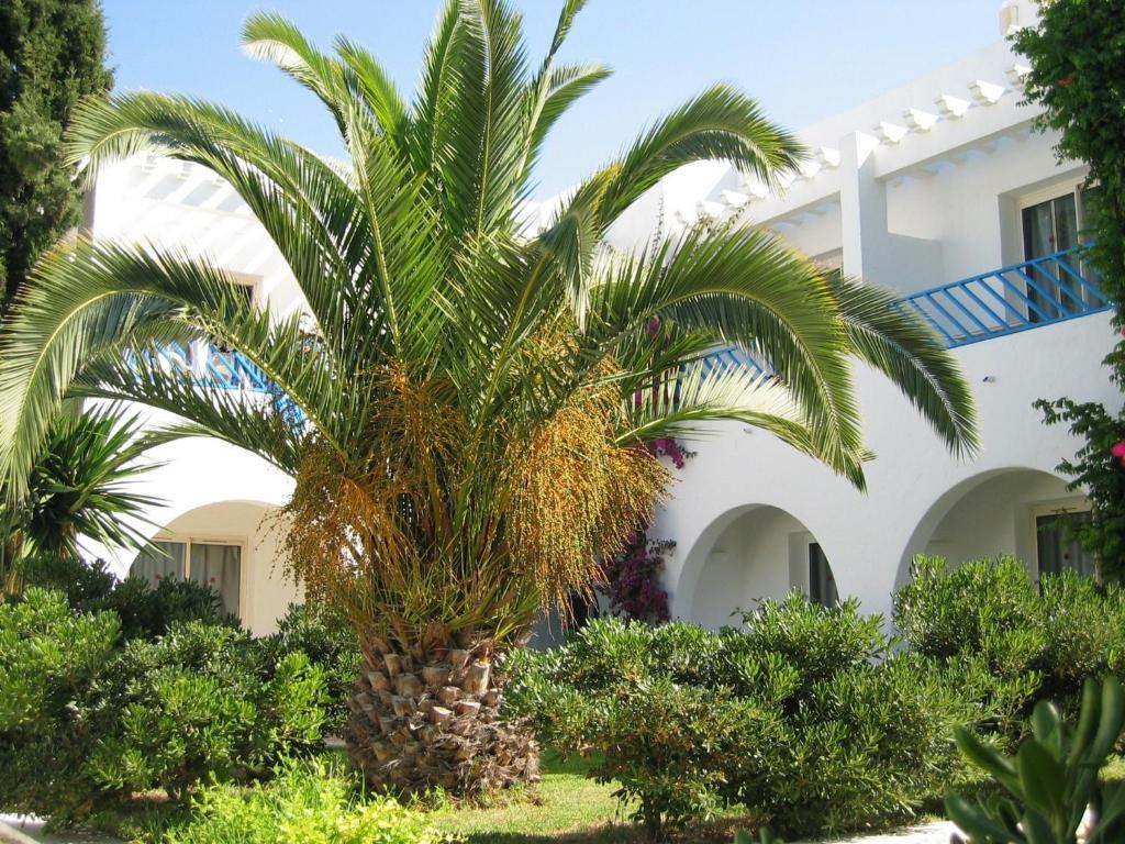Hotel Residence La Paix Hammamet Exterior photo